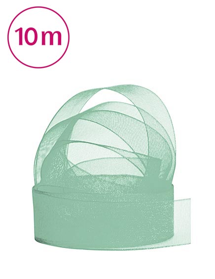 Band Chiffon  / 10m 25 mm pistazien