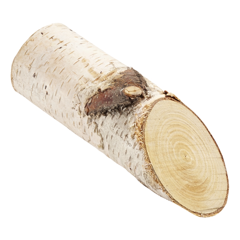 Birkenholzstämmchen ca 15cm 3 Stk.