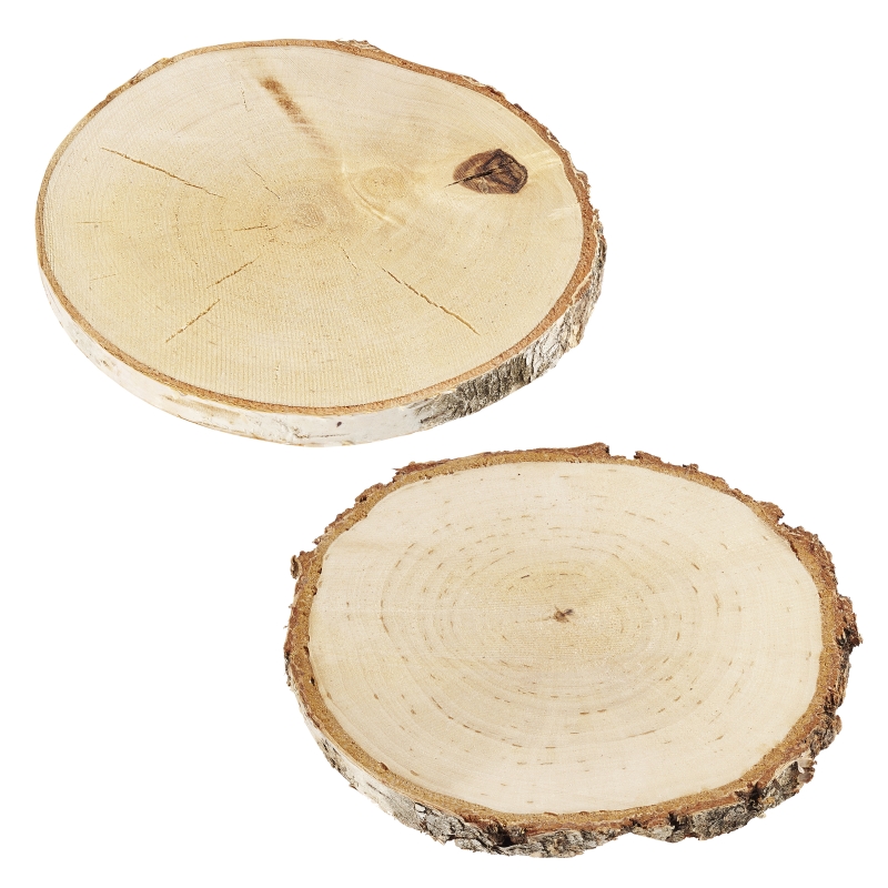 Birkenholzscheiben ca.8-12cm 4 Stk.