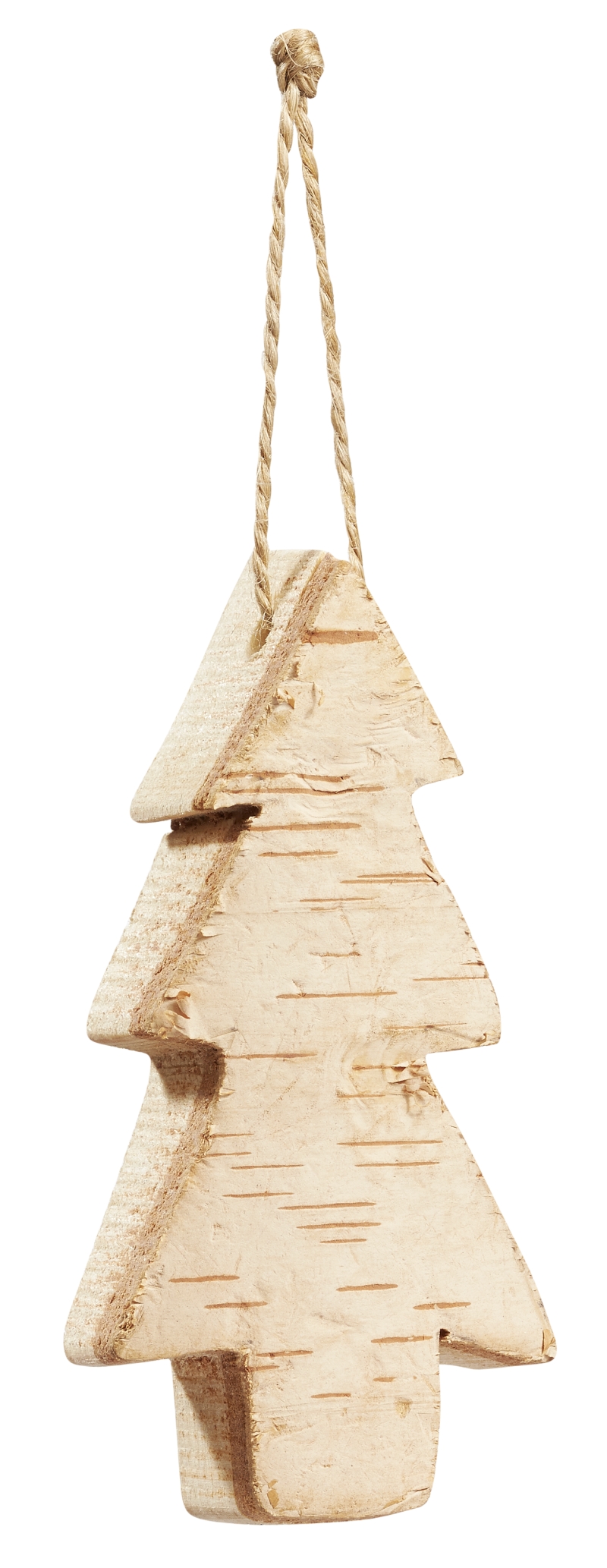 Birkenholzbaum 8cm 2St