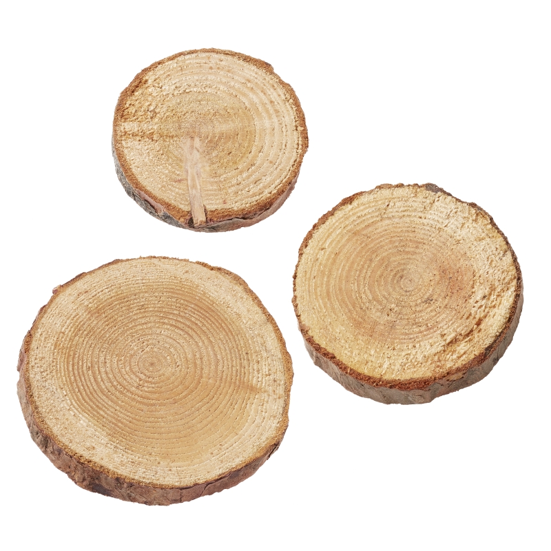 Nadelholzscheiben  4cm, 5St