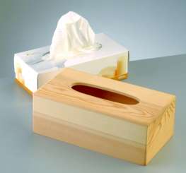 Kleenexbox Holz roh 25 x 13,4 x H 9cm
