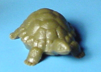 Schildkr&#246;te 16mm 50 Stk