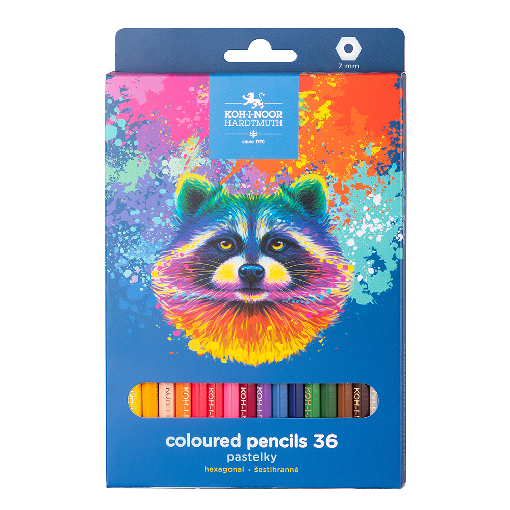 Buntstifte Schul- Farbstifte &quot;Waschb&#228;r&quot; - 36er Pack